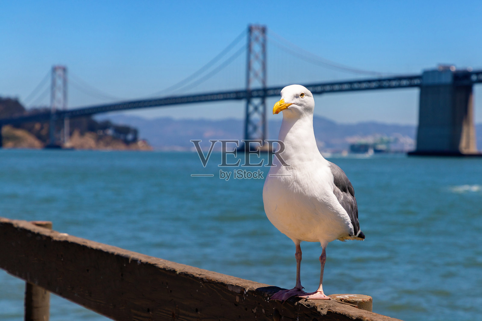 旧金山的奥克兰海湾大桥照片摄影图片