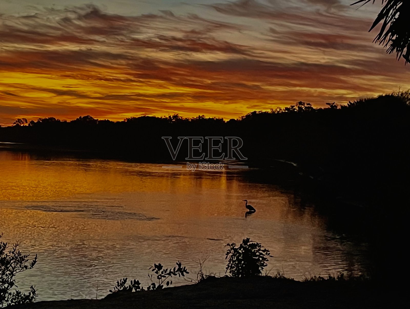 在佛罗里达的日出照片摄影图片