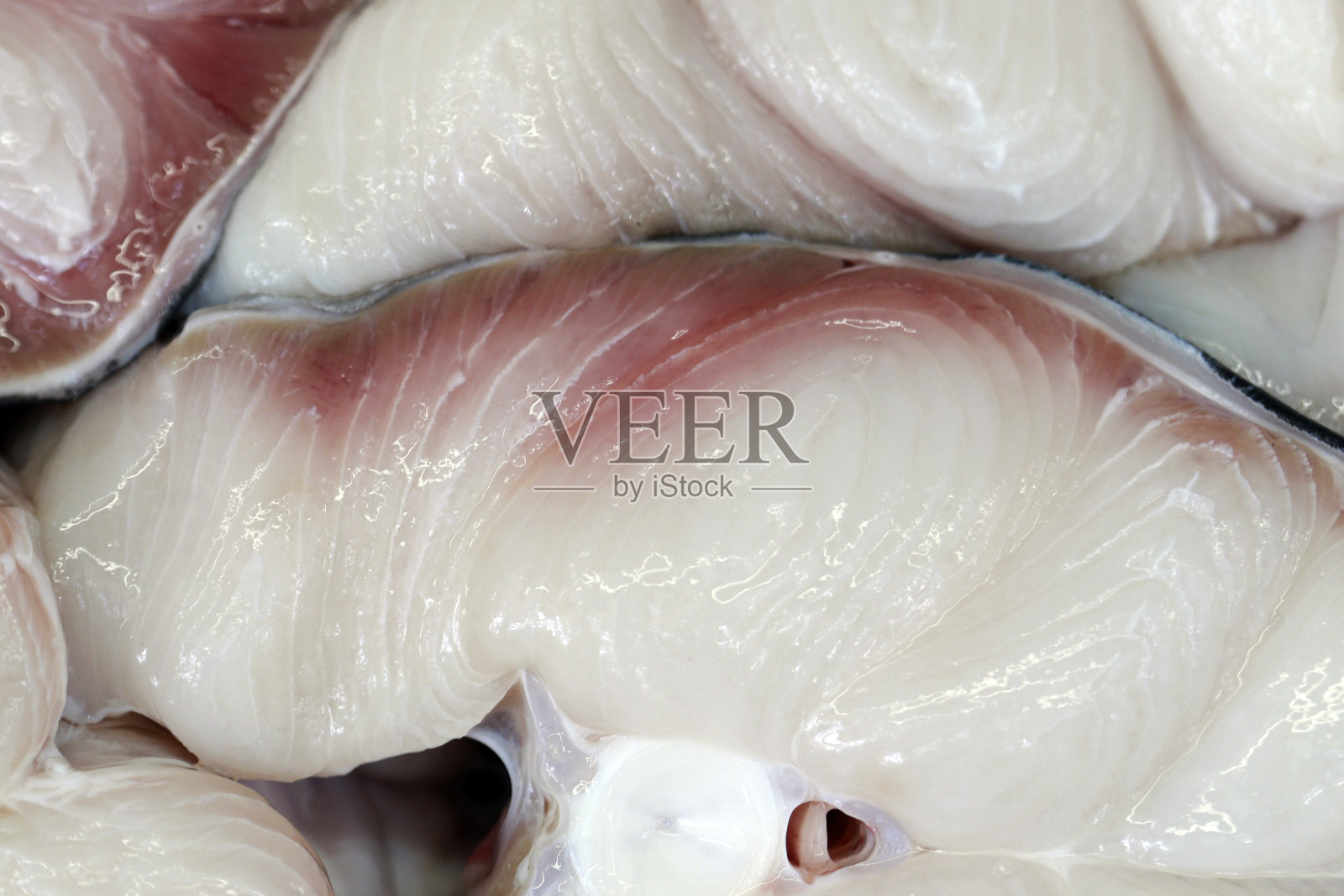 鲨鱼牛排的特写照片摄影图片