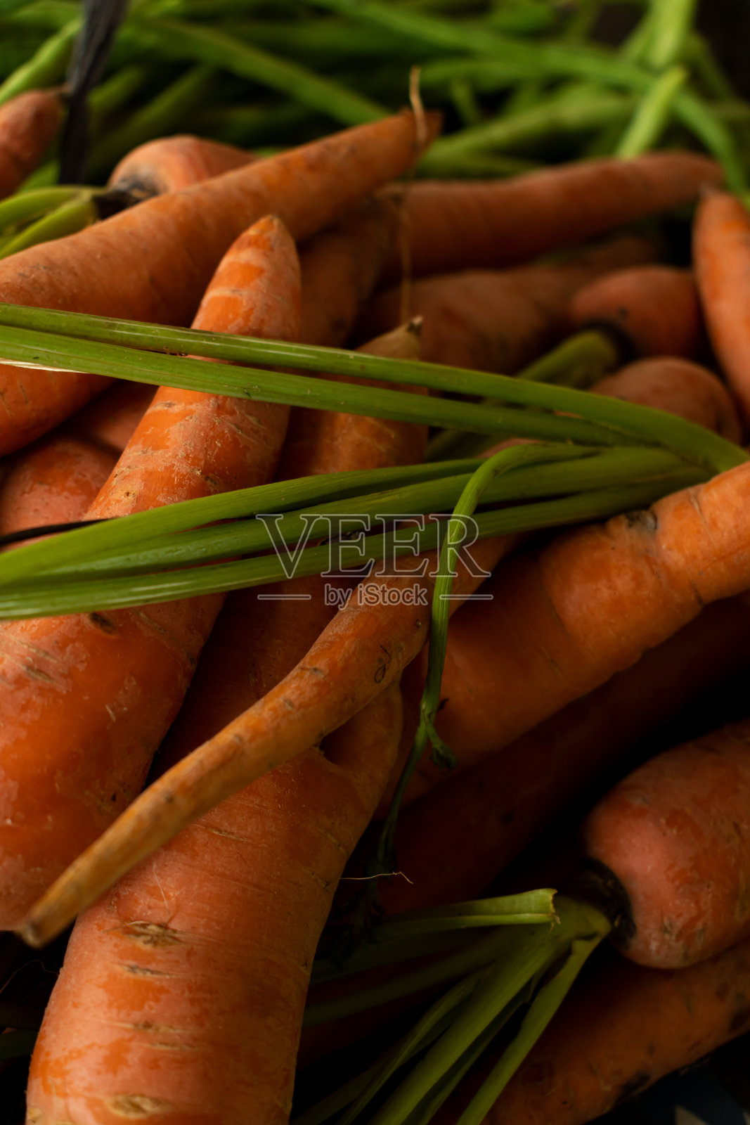 市场上一堆新鲜的生胡萝卜照片摄影图片
