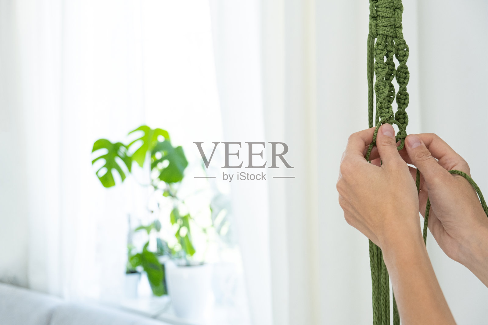 手工制作的绿色流线植物衣架与盆栽植物挂在妇女的手上。锅和怪物的计划照片摄影图片