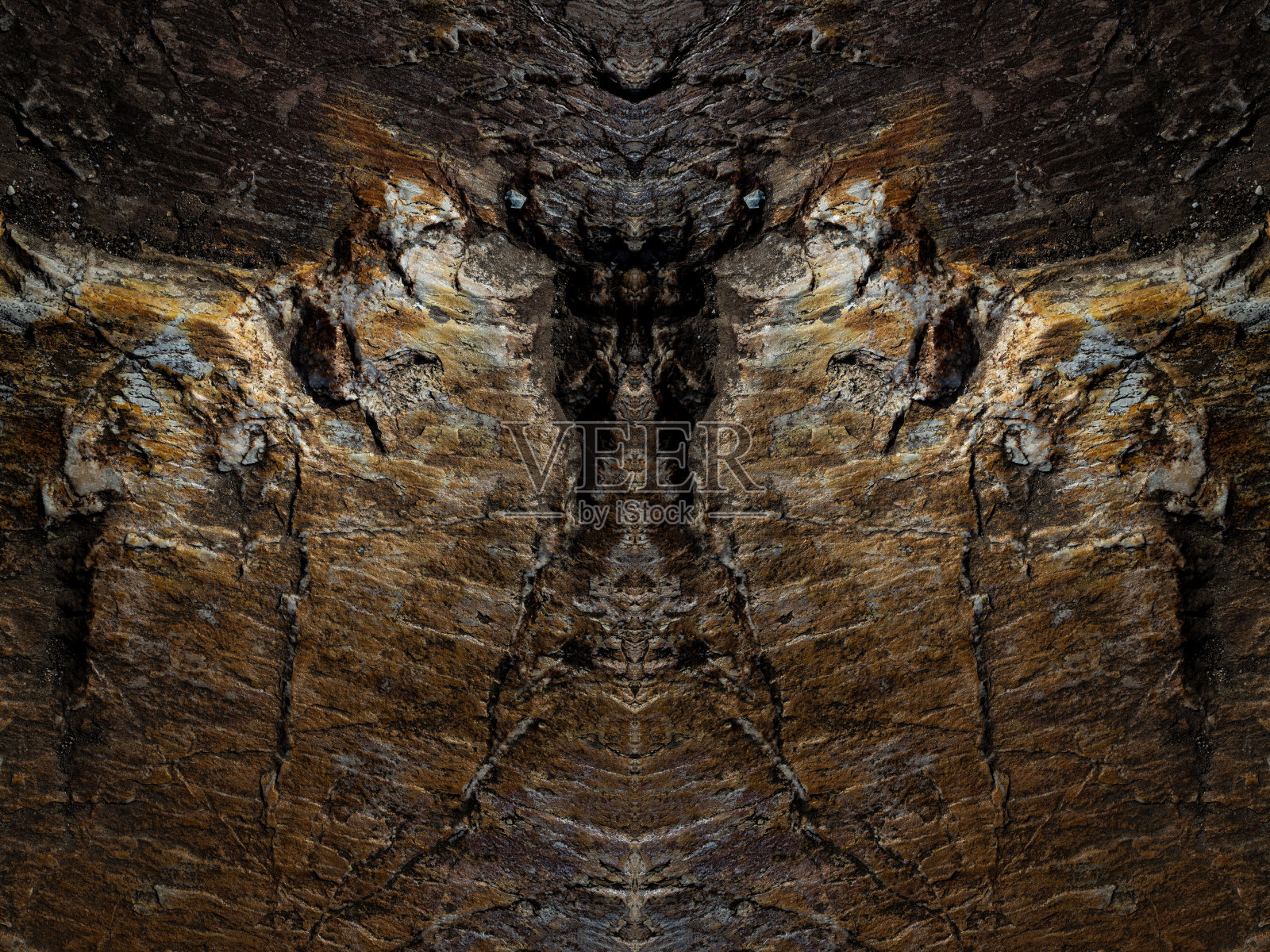 异形头雕刻在花岗岩,对称的万花筒镜子,抽象的背景。照片摄影图片