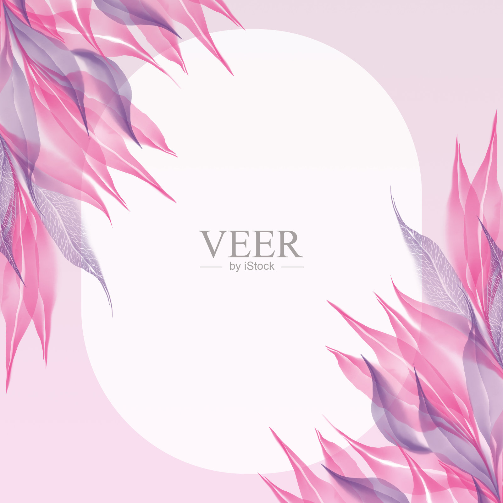 粉红色紫色紫色透明骨架叶框架边界组成孤立在白色背景水彩数字艺术插画图片素材