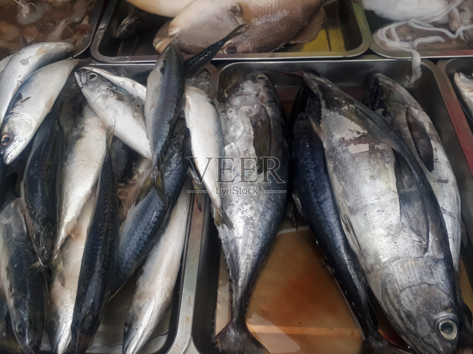 鱼市场上新鲜的鱼的特写照片摄影图片