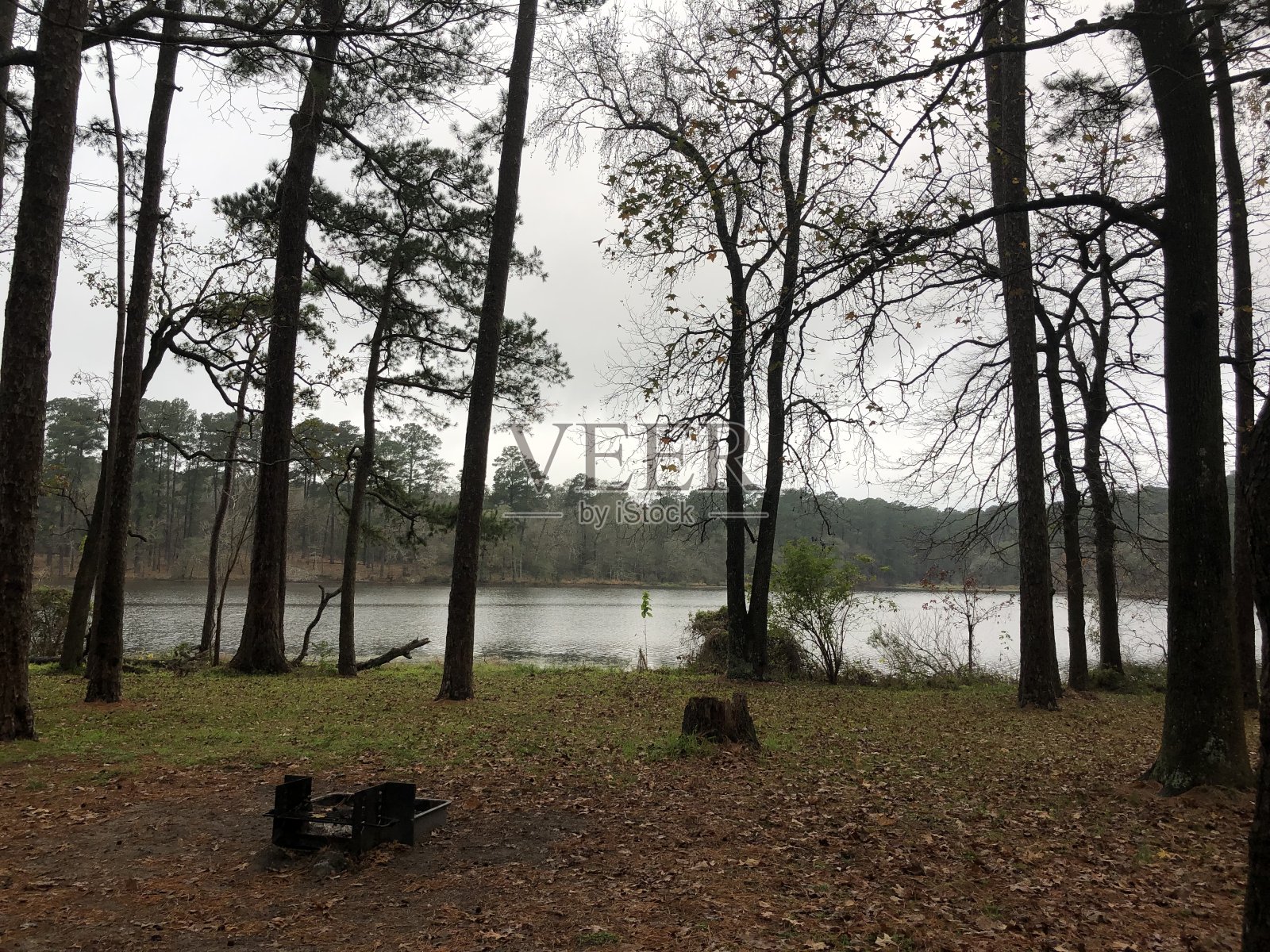 森林露营区与湖的背景照片摄影图片