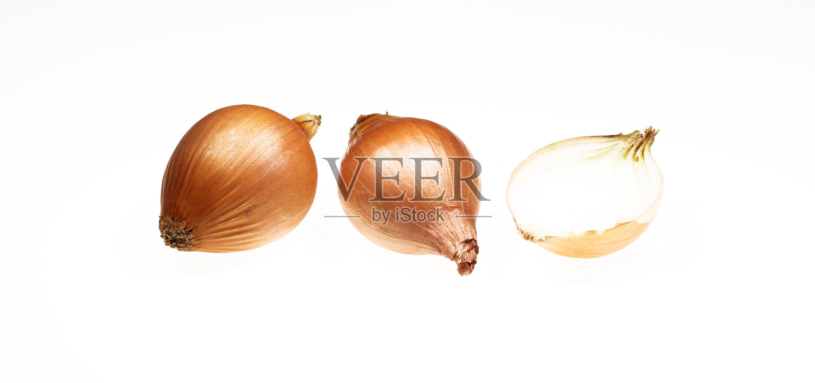 洋葱孤立在白色背景上。选择焦点与文本的复制空间。照片摄影图片