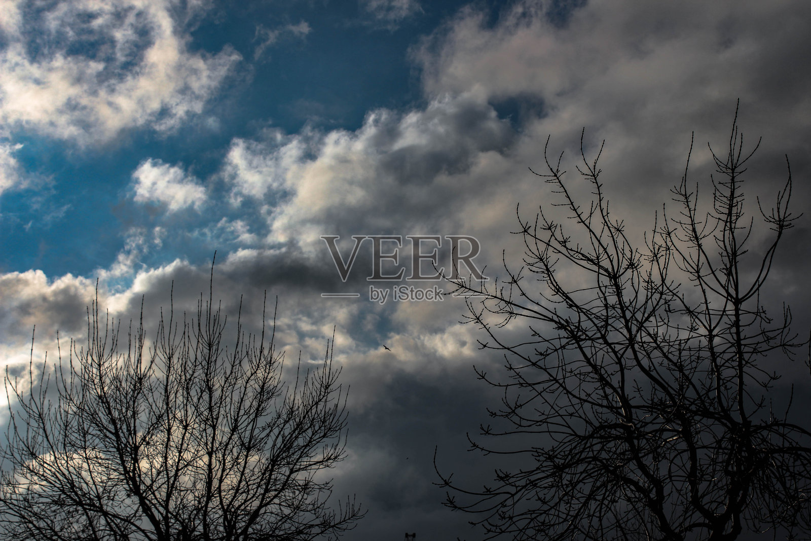 黑暗的天空和树木的陆地空间照片摄影图片