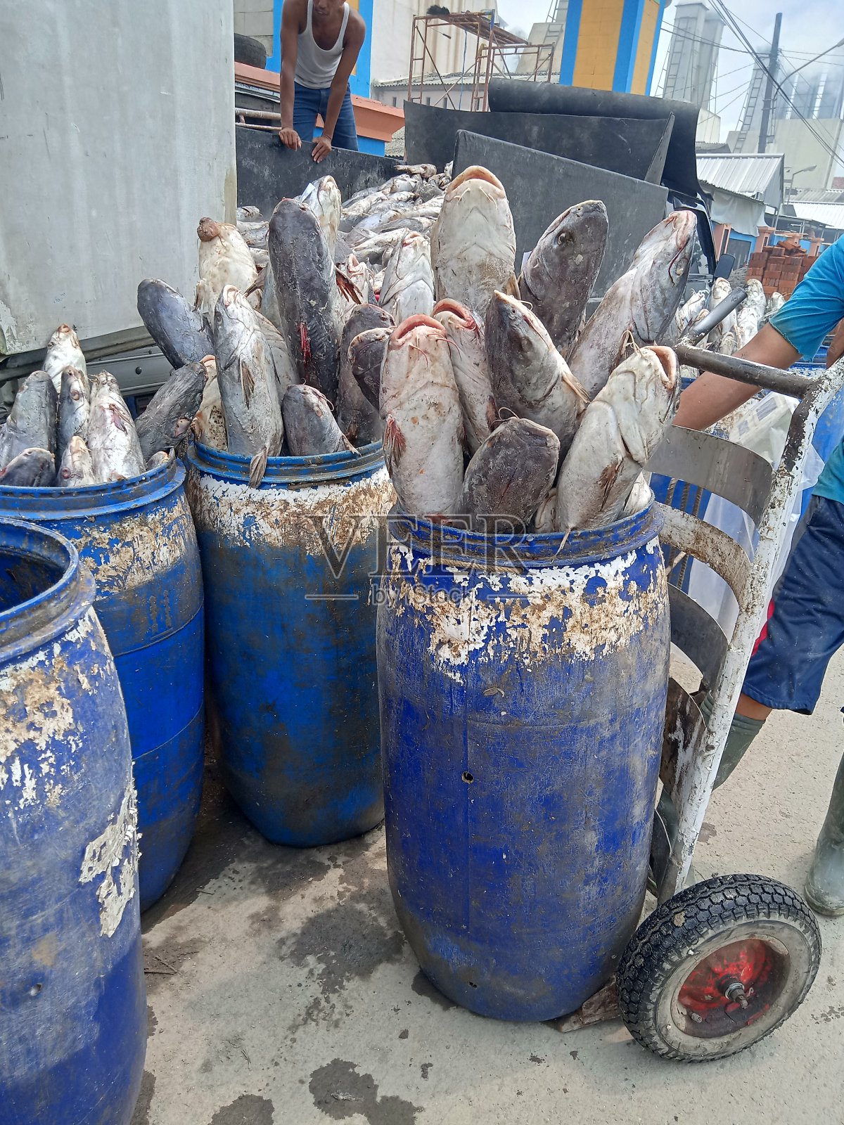 鱼熏蒸照片摄影图片