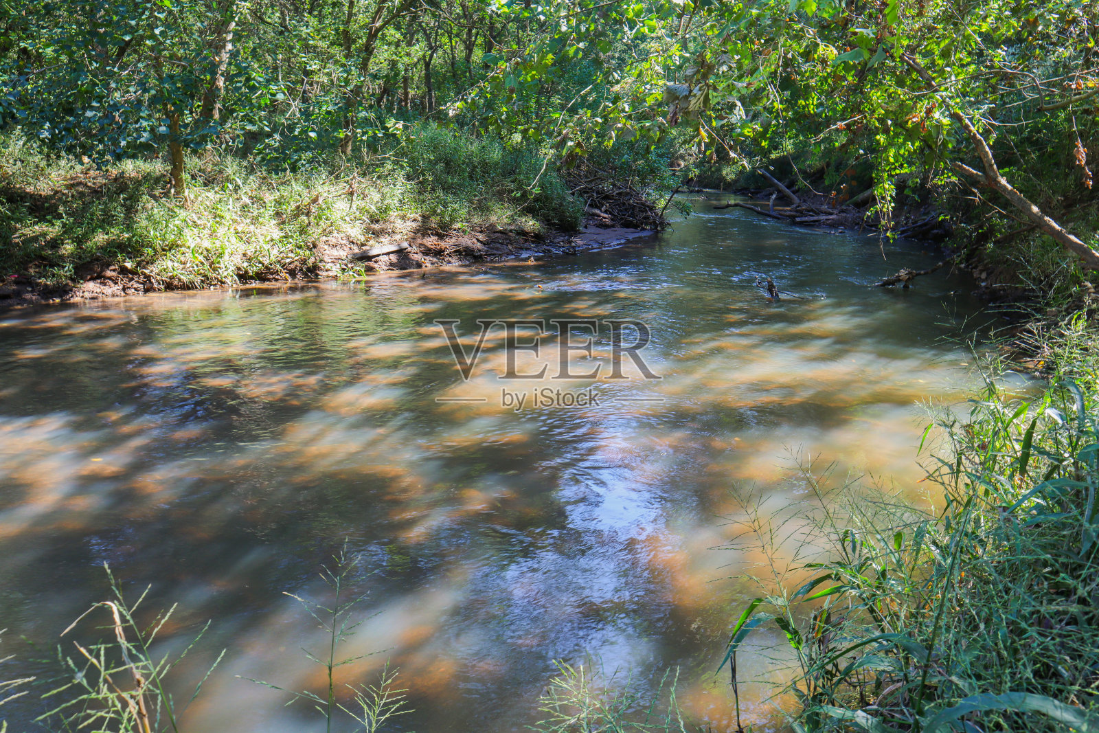 Ocmulgee森林流照片摄影图片