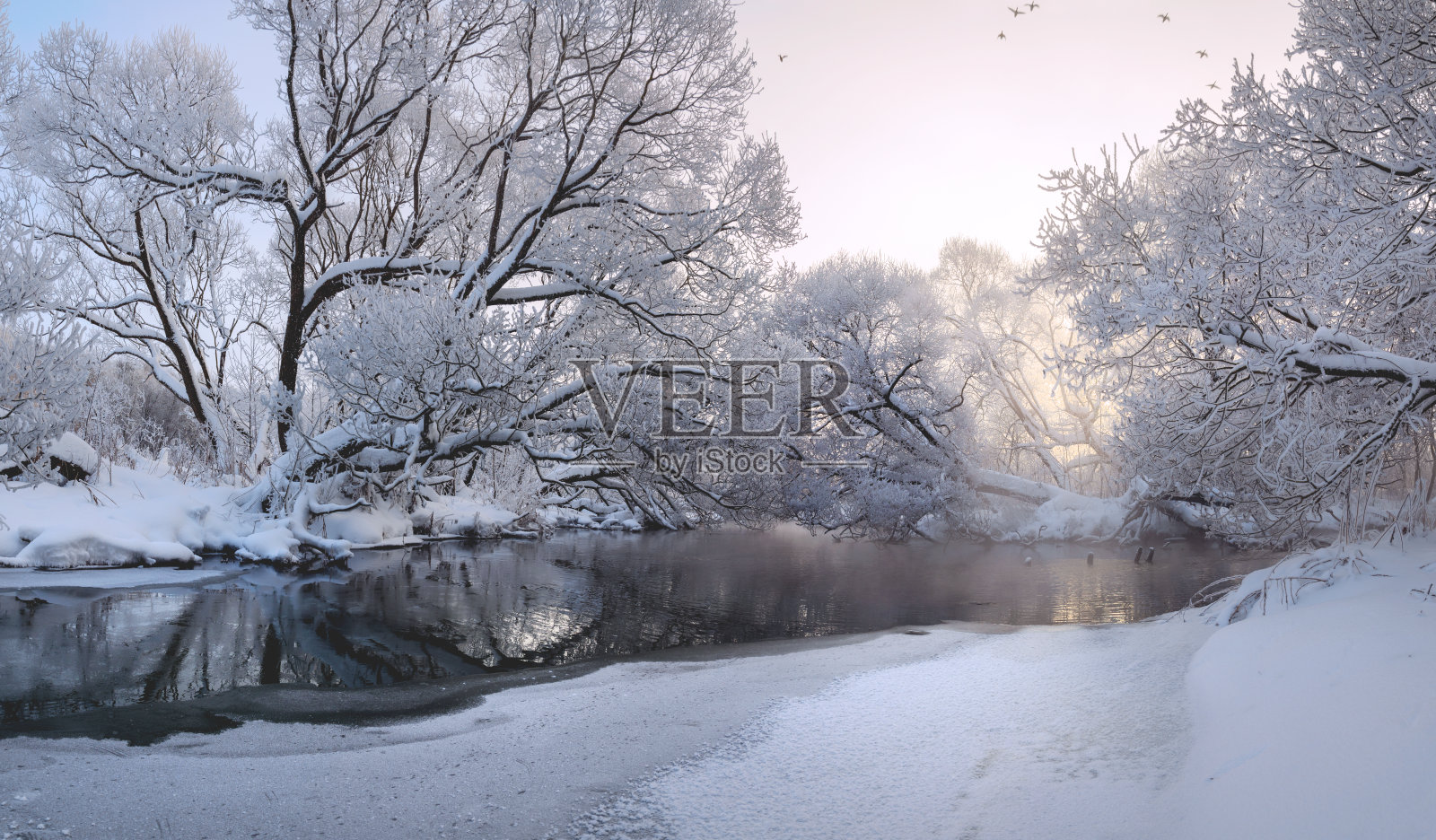 冬天的风景有平静的森林、河流和白雪覆盖的树木照片摄影图片