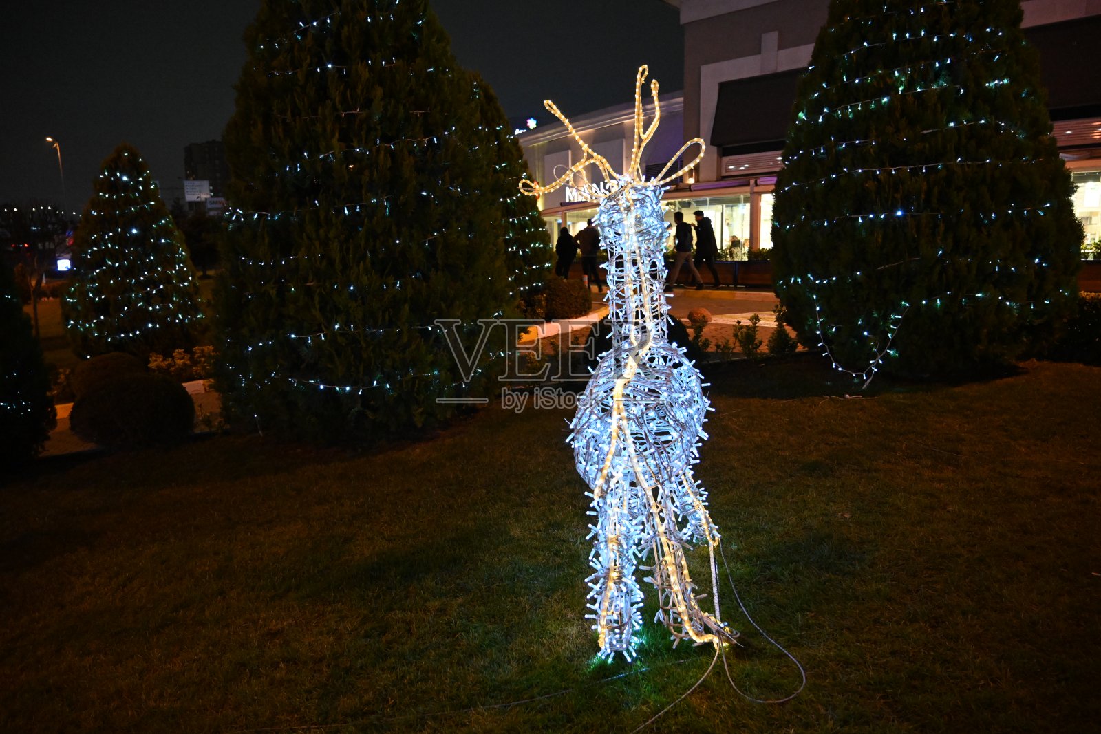 在2022年新年前夕,用鹿灯照亮花园。照片摄影图片