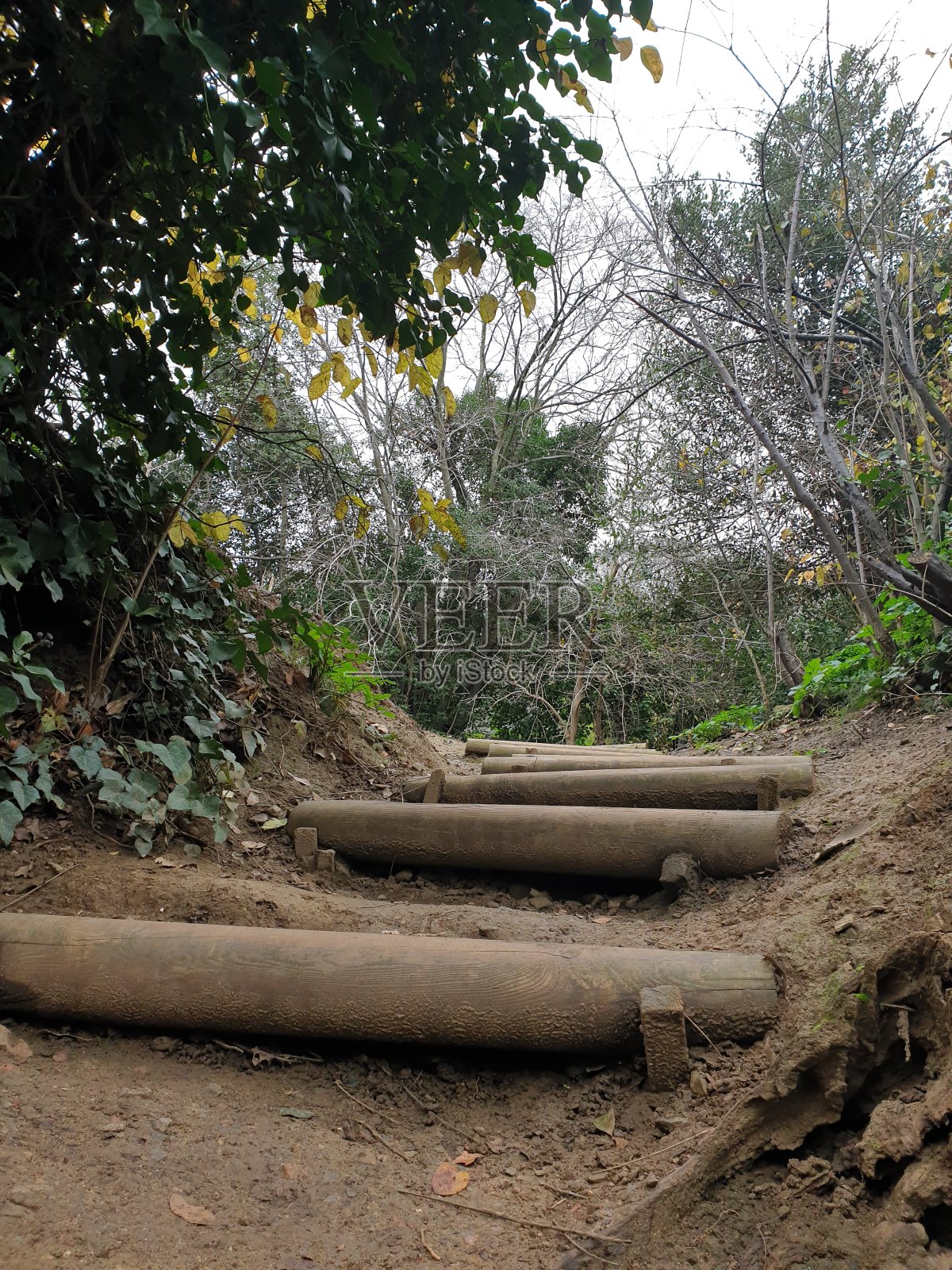 伊斯坦布尔 / 库兹贡丘克/乌斯库达尔照片摄影图片