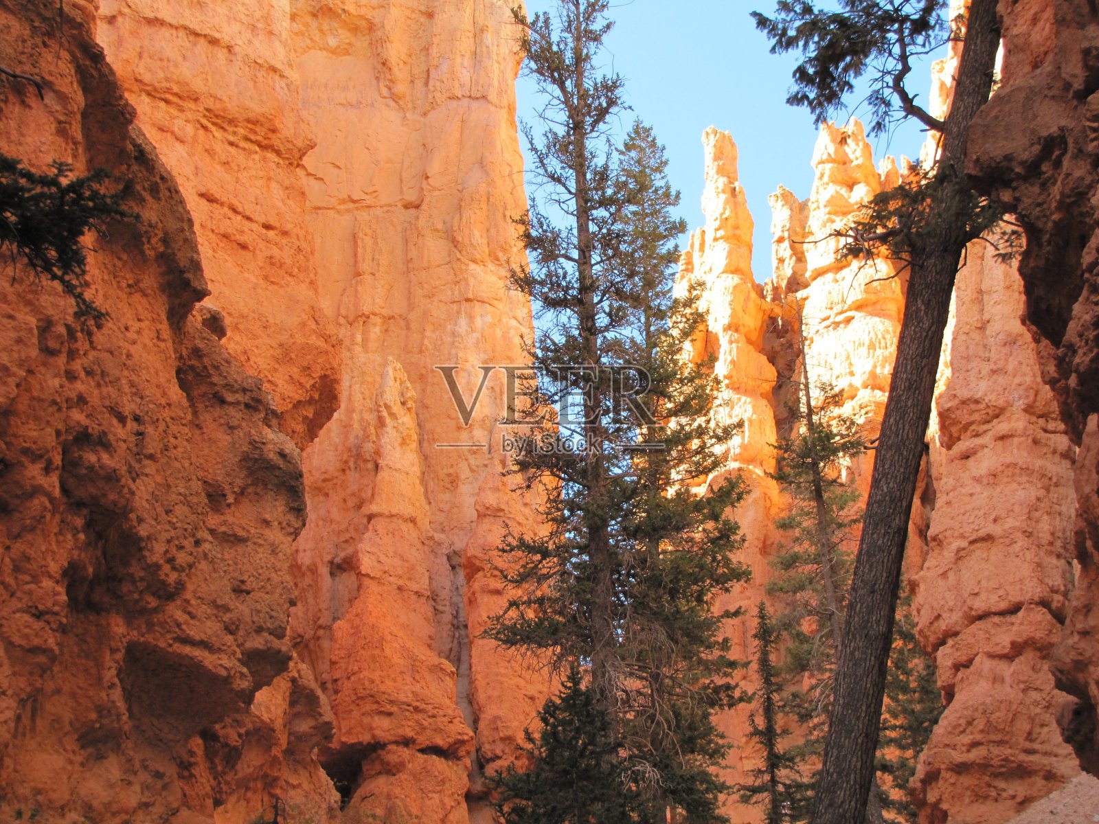 美国犹他州布莱斯峡谷国家公园照片摄影图片