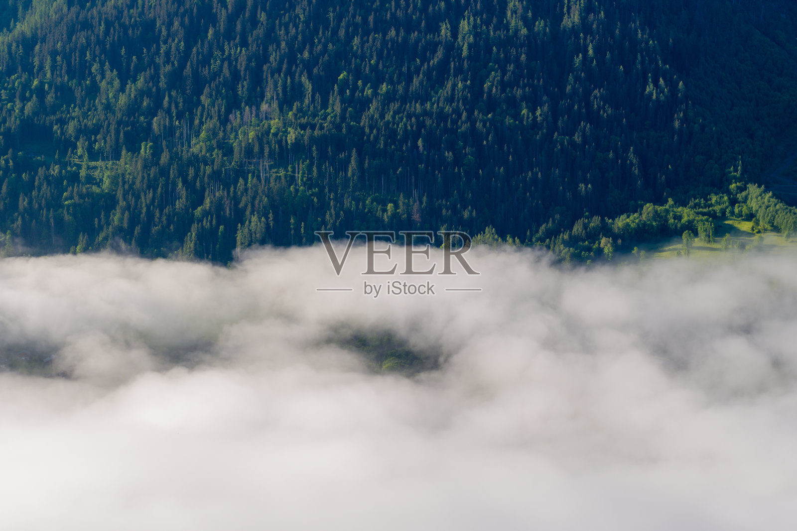 在欧洲的勃朗峰,在法国,在阿尔卑斯山,在夏蒙尼,在夏天,在一个阳光灿烂的日子里。照片摄影图片