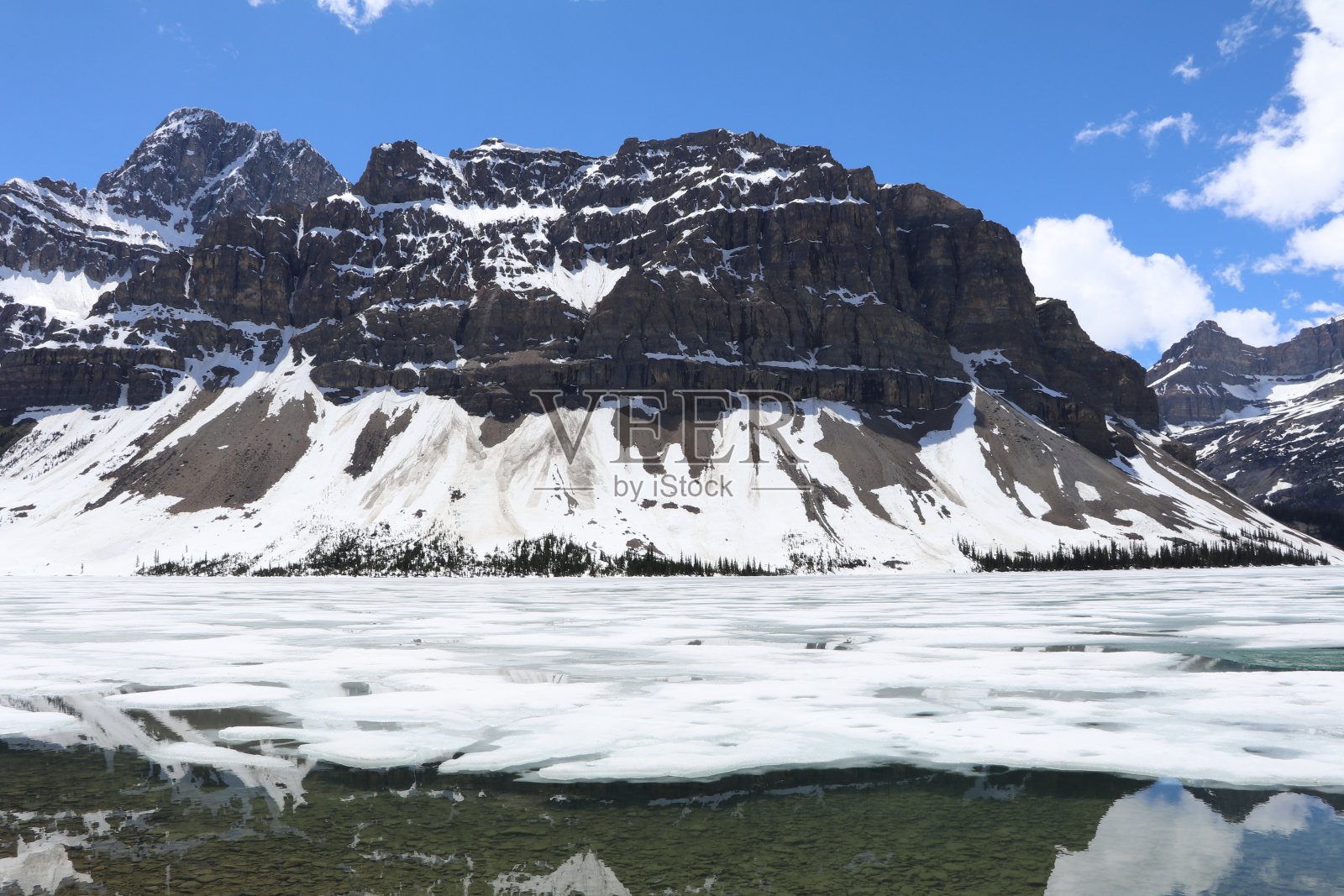 穿越加拿大不列颠哥伦比亚省的班夫和贾斯珀国家公园的奇妙之旅。温哥华美妙的一天。加拿大有这么多的动物和山脉,真是一个美丽的自然。照片摄影图片