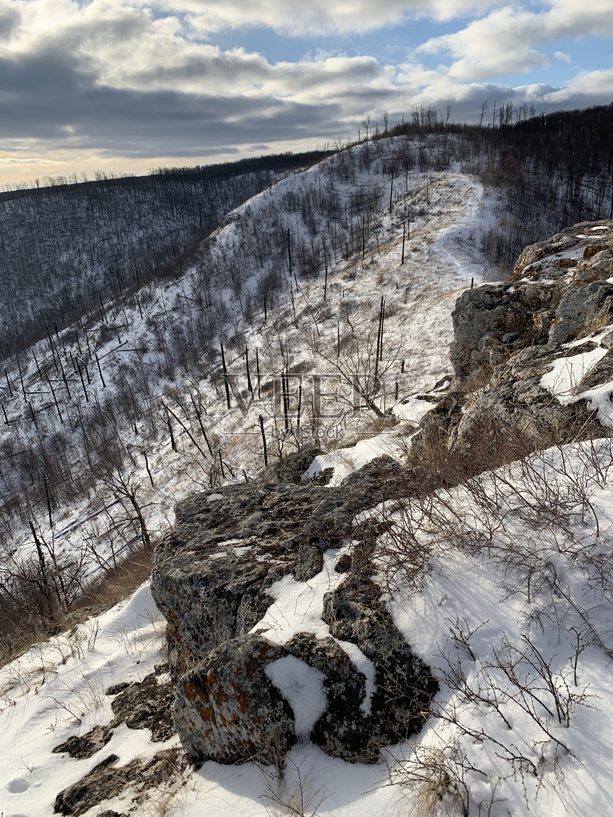 冬季丘陵景观照片摄影图片