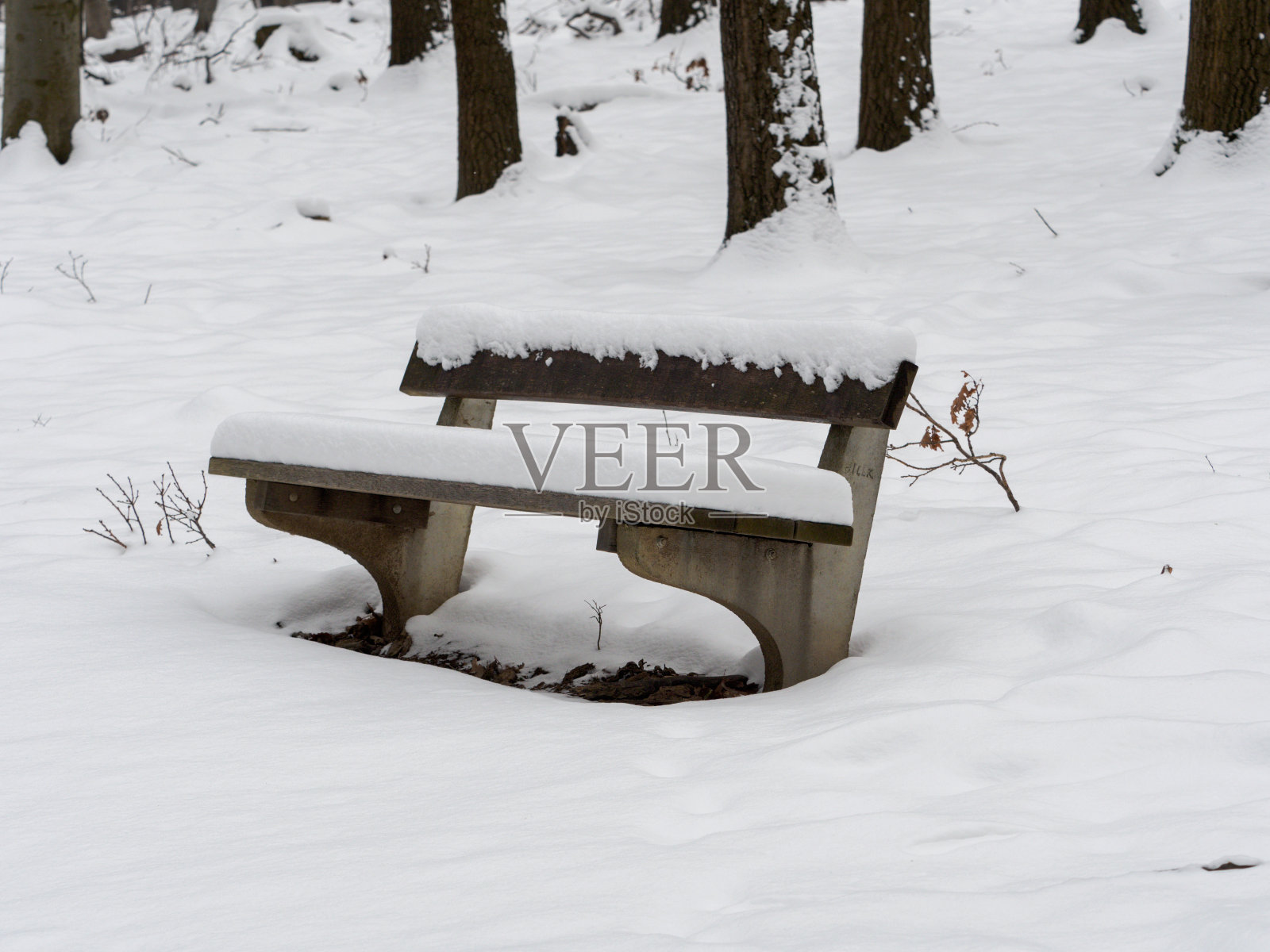 带雪帽的公园长椅照片摄影图片