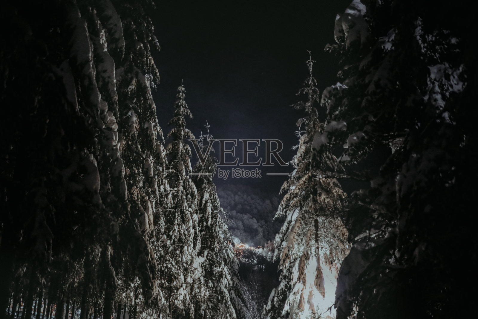 白雪皑皑的森林和山间小屋照片摄影图片