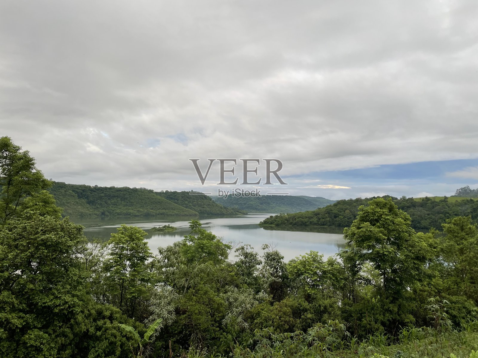 森林照片摄影图片