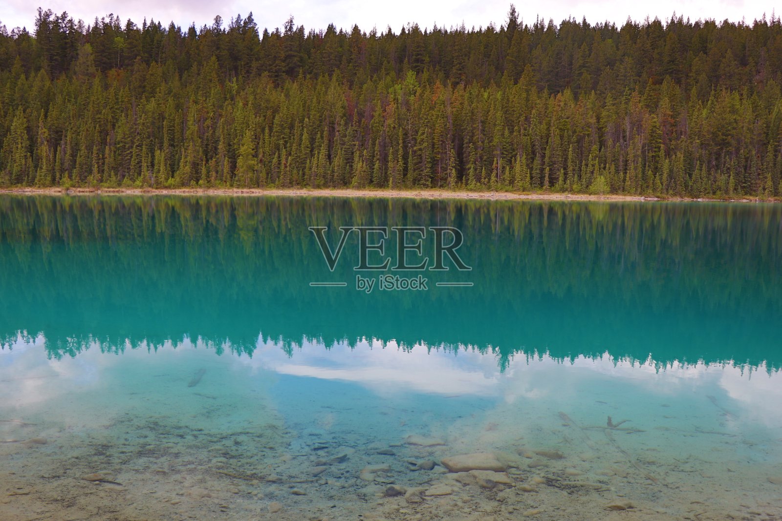 碧玉国家公园里美丽的蓝色湖泊。穿越加拿大不列颠哥伦比亚省的班夫和贾斯珀国家公园的奇妙之旅。温哥华美妙的一天。加拿大有这么多的动物和山脉,真是一个美丽的自然。照片摄影图片