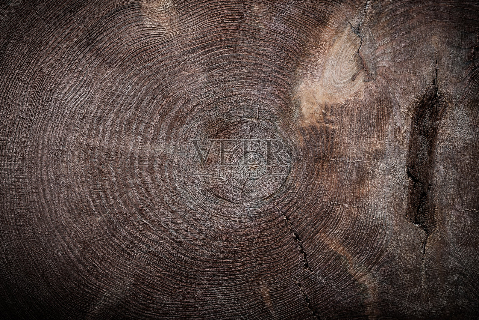 有纹理的树干横切面照片摄影图片