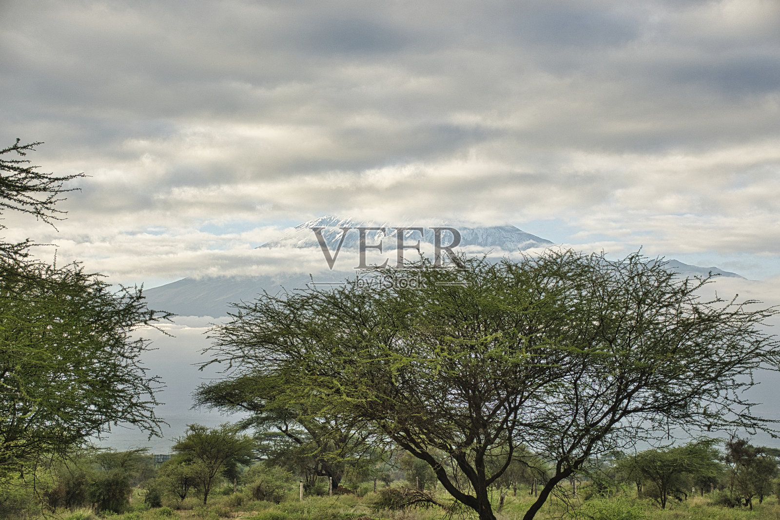 东查沃西部国家公园照片摄影图片