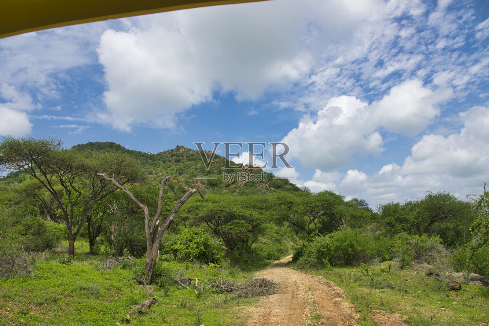 东查沃西部国家公园照片摄影图片