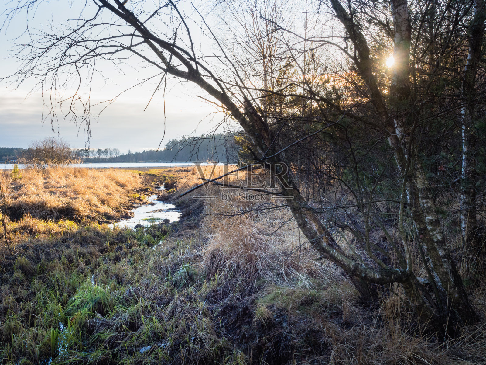 秋季徒步旅行,探索奥地利下奥地利海登莱希斯坦纳沼泽自然公园的沼泽地照片摄影图片
