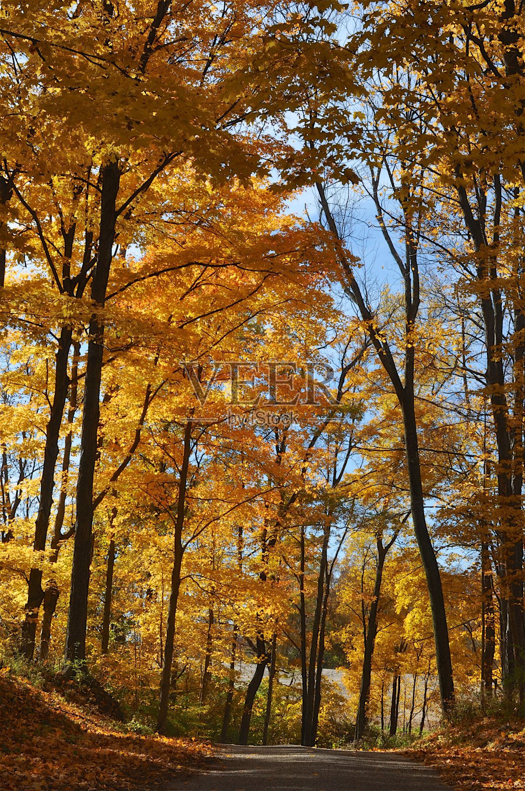 安德森瀑布和地区,印第安纳州巴塞洛缪县照片摄影图片