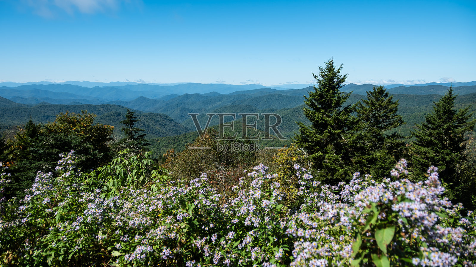 秋天在阿巴拉契亚山脉沿着蓝岭公园路观看照片摄影图片