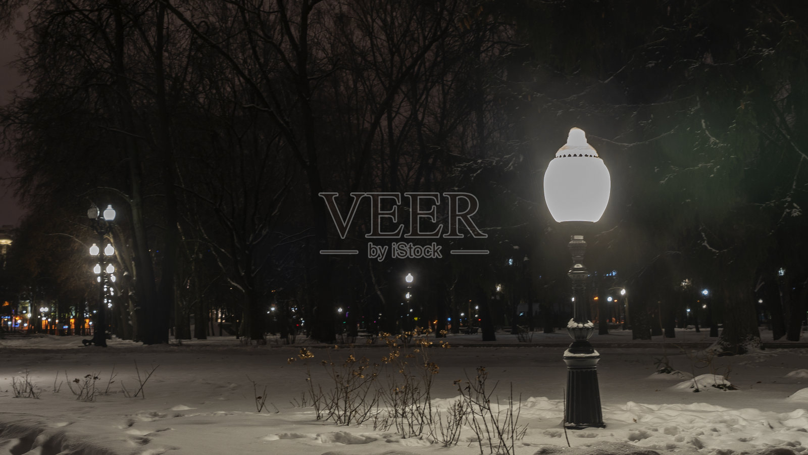 夜晚的冬季公园。冬夜公园有灯笼,人行道和树木覆盖着雪。照片摄影图片