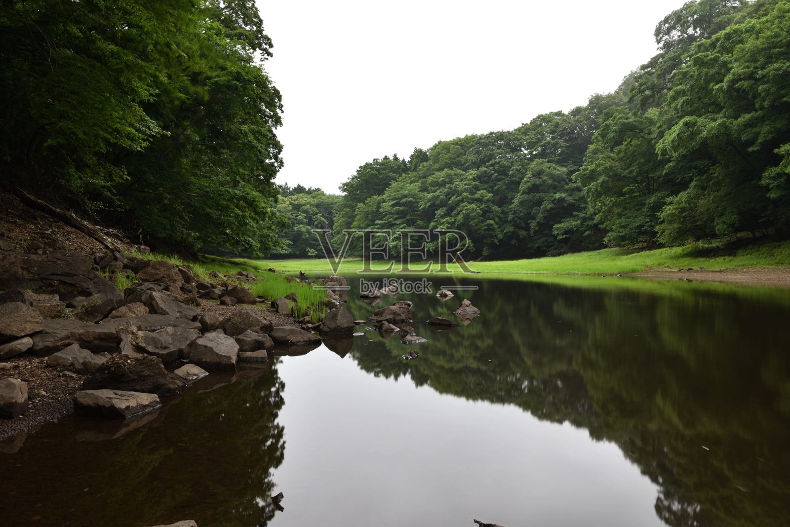 自然公园,湿地照片摄影图片