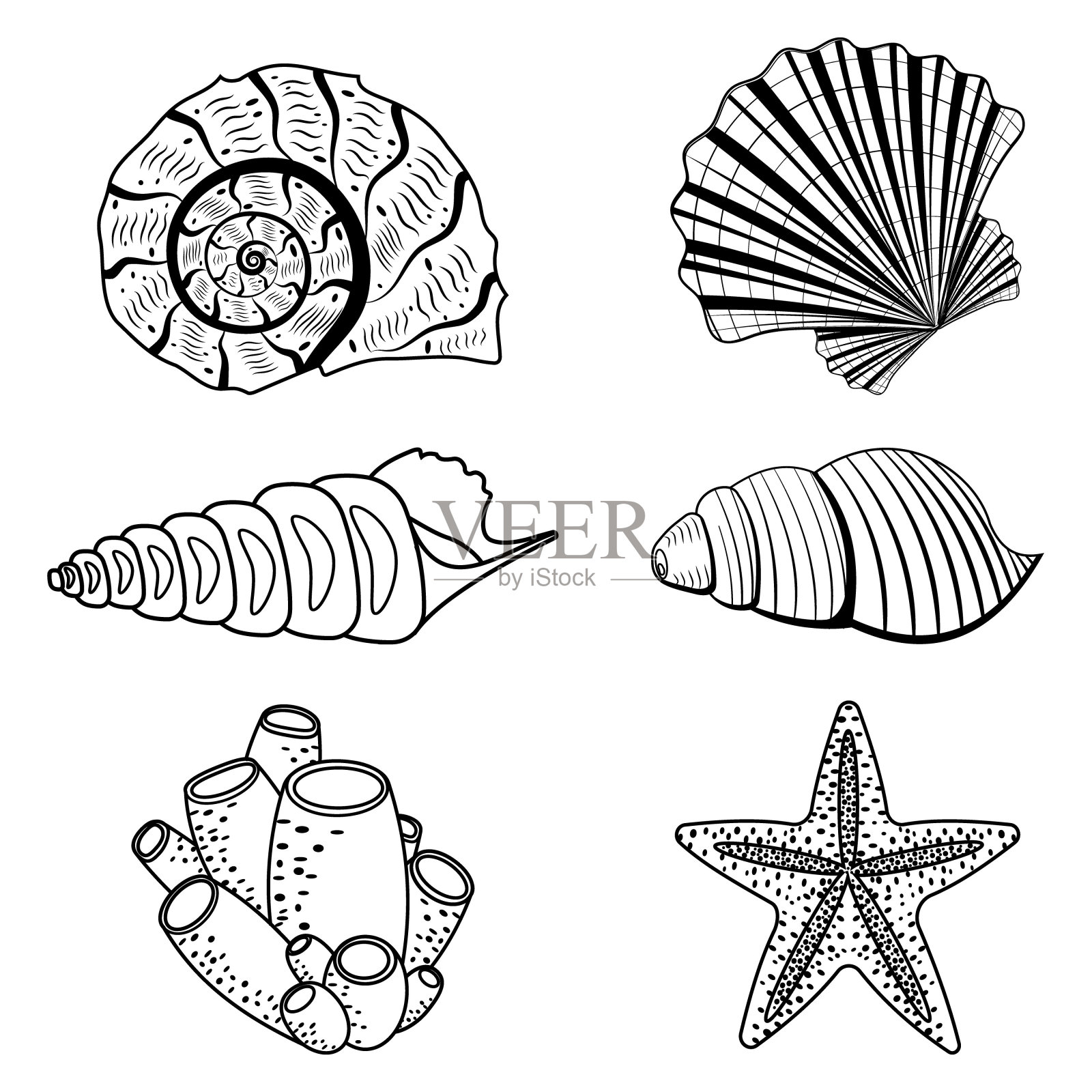 一套贝壳。黑色轮廓线,涂鸦风格插画图片素材
