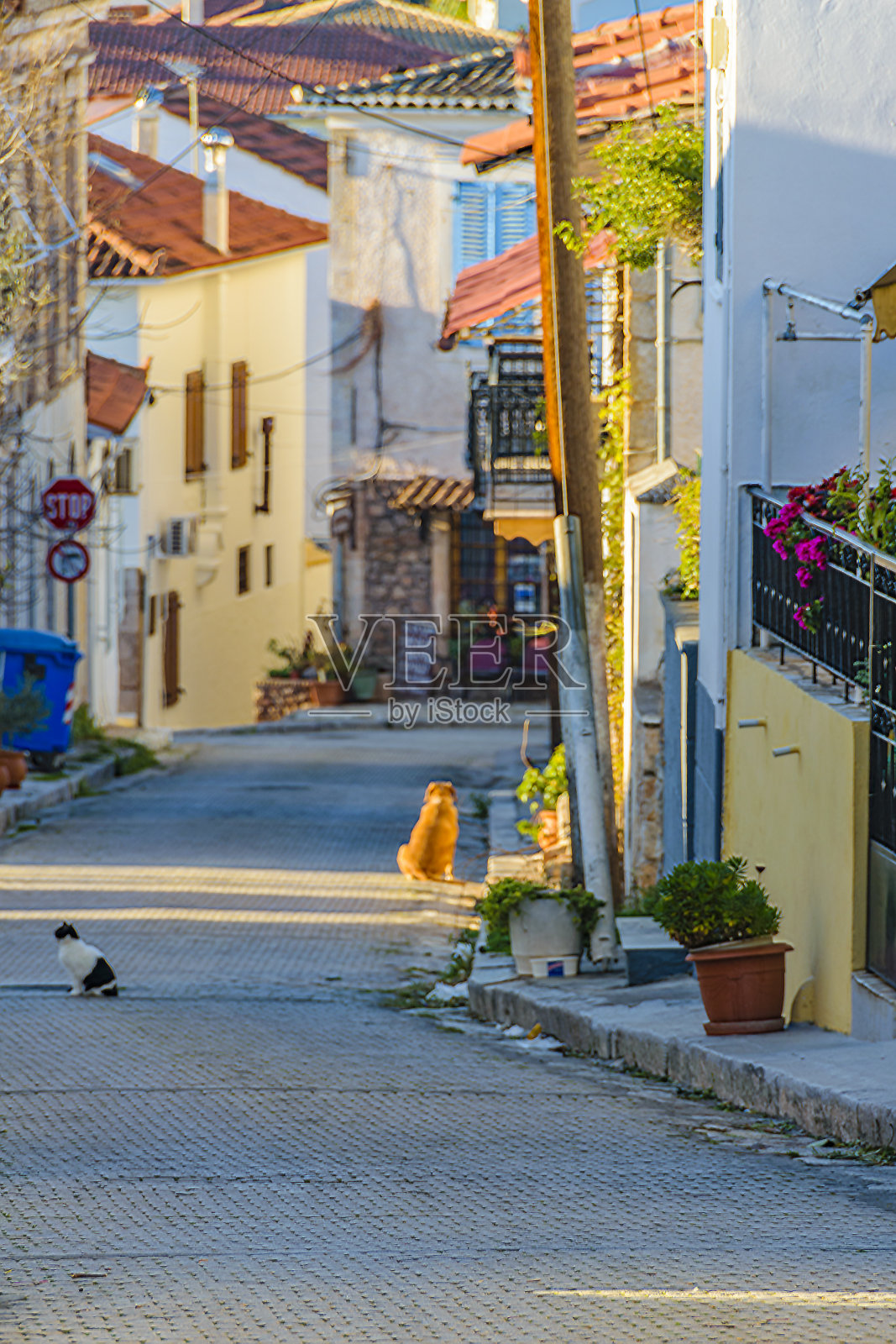 Galaxidi镇,希腊照片摄影图片