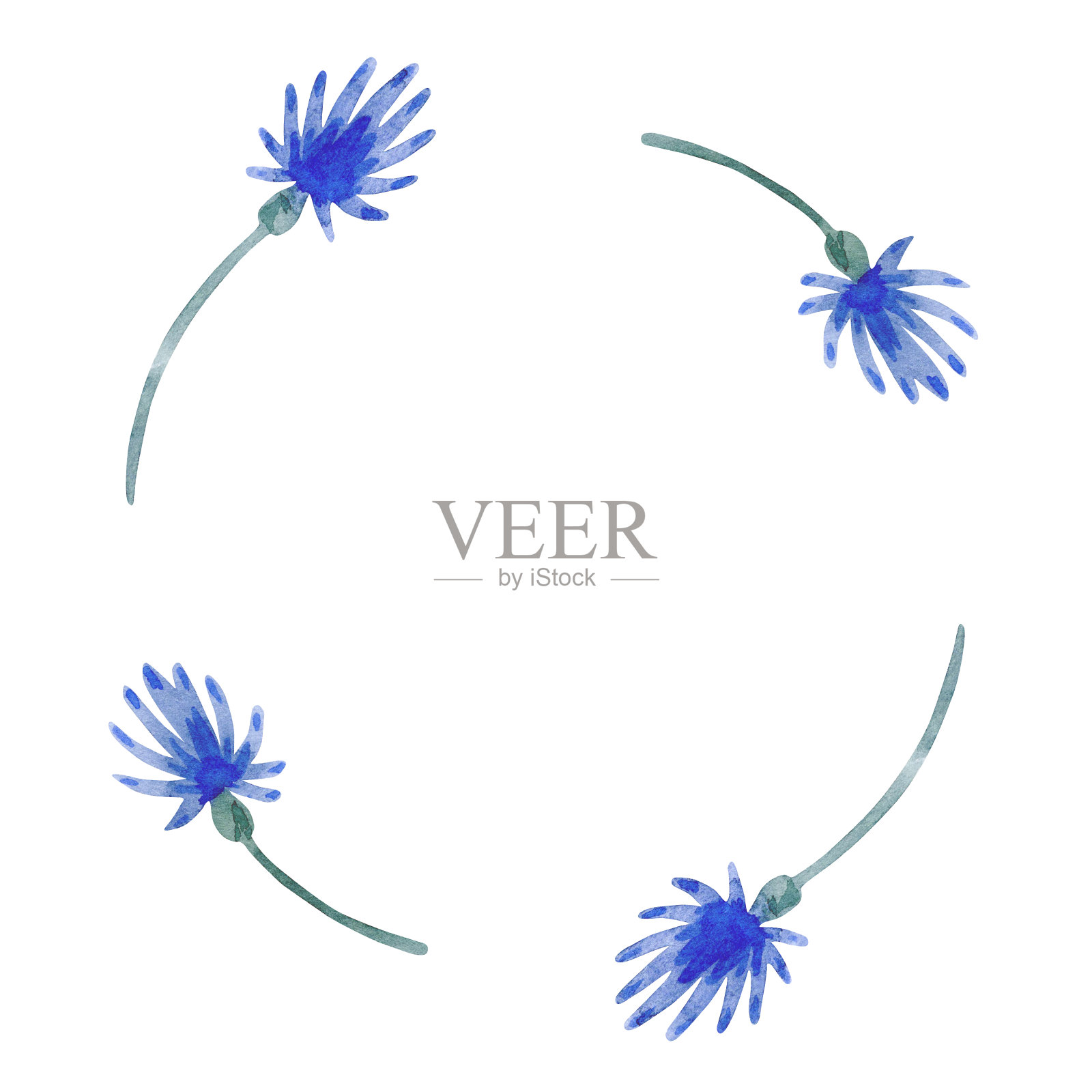 水彩框架与蓝色花孤立在白色背景上。插画图片素材
