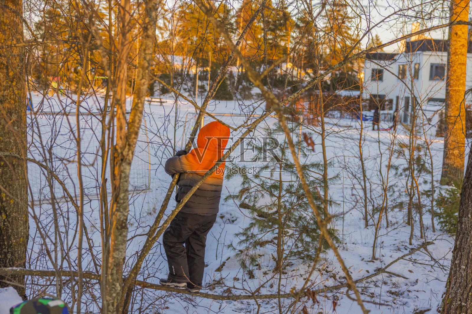 在寒冷的冬天,孩子们在雪原中玩耍的美丽景色。瑞典。照片摄影图片