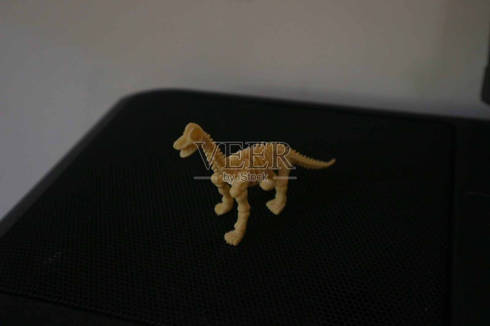 有趣的恐龙骨架玩具在桌子上照片摄影图片
