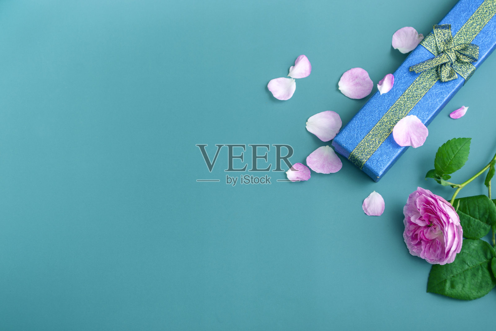 长蓝色礼盒与茶玫瑰在蓝绿色背景。节日礼物特写与复印空间照片摄影图片