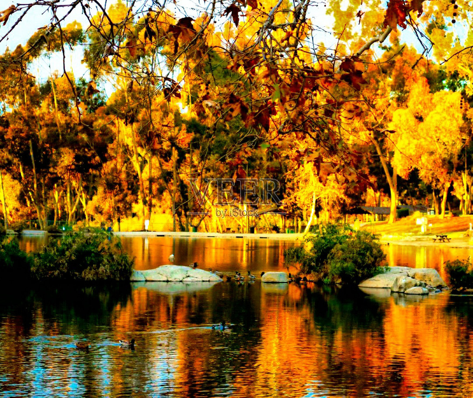 黄金小时后照片摄影图片