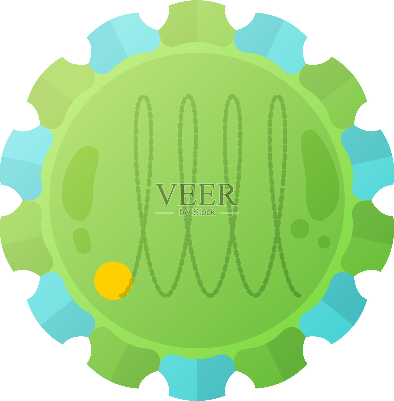 鼻病毒人类病毒的组成设计元素图片