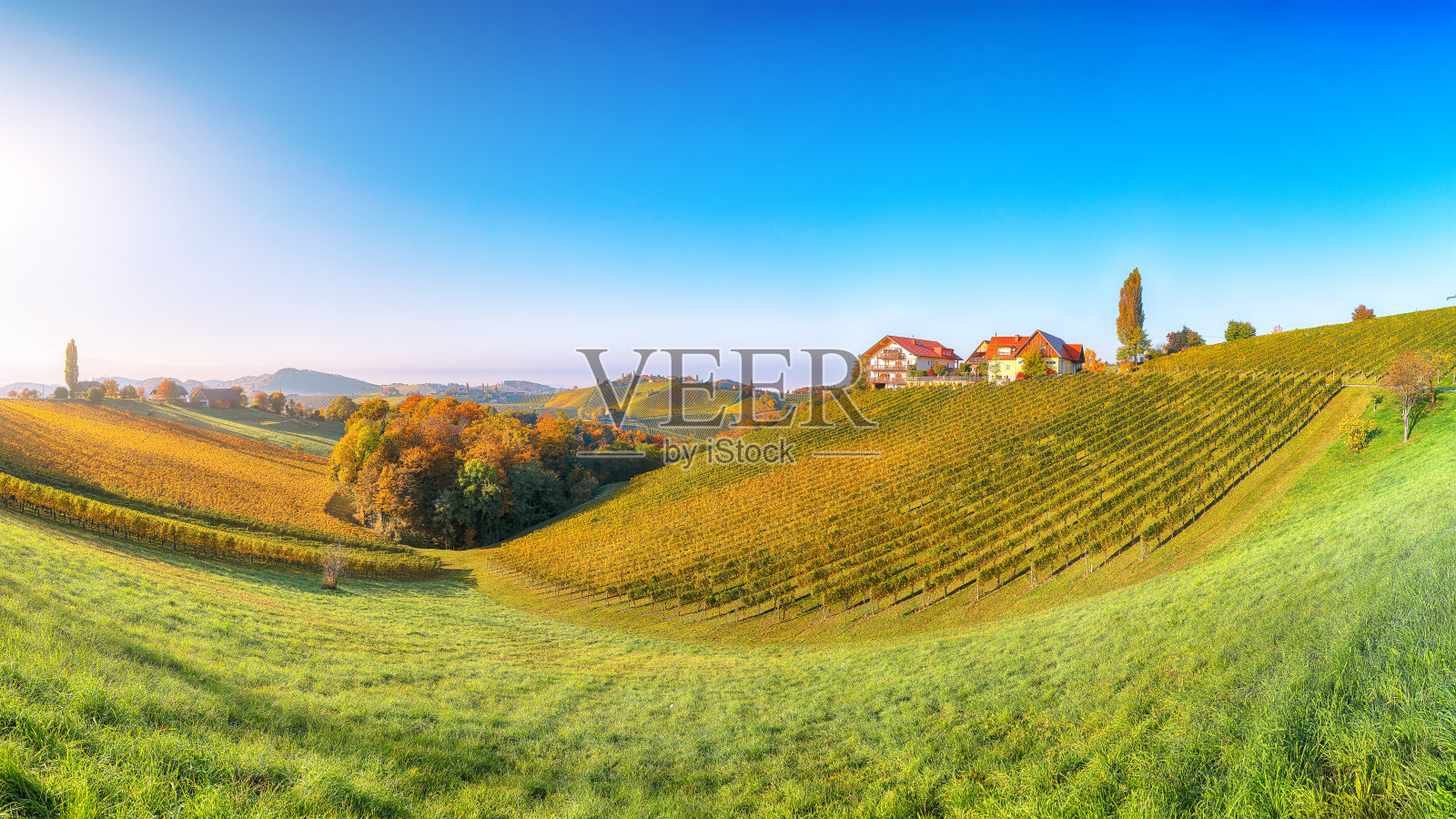 奥地利壮观的葡萄园景观照片摄影图片