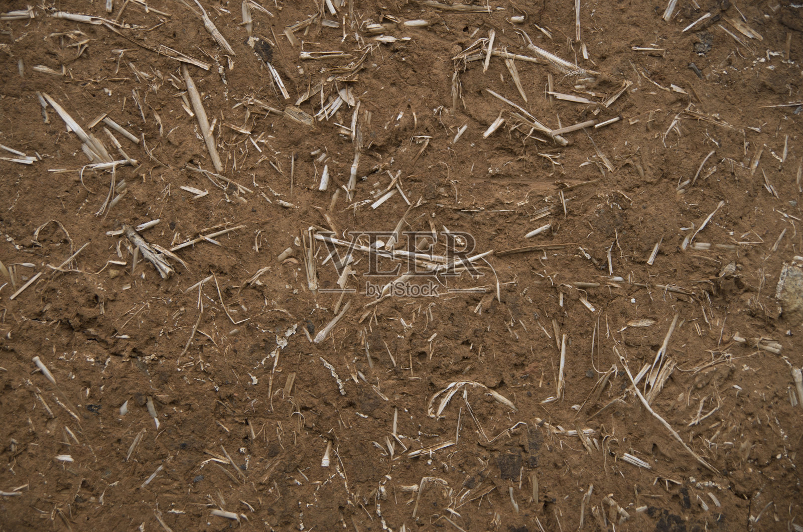 墙上贴满了泥照片摄影图片