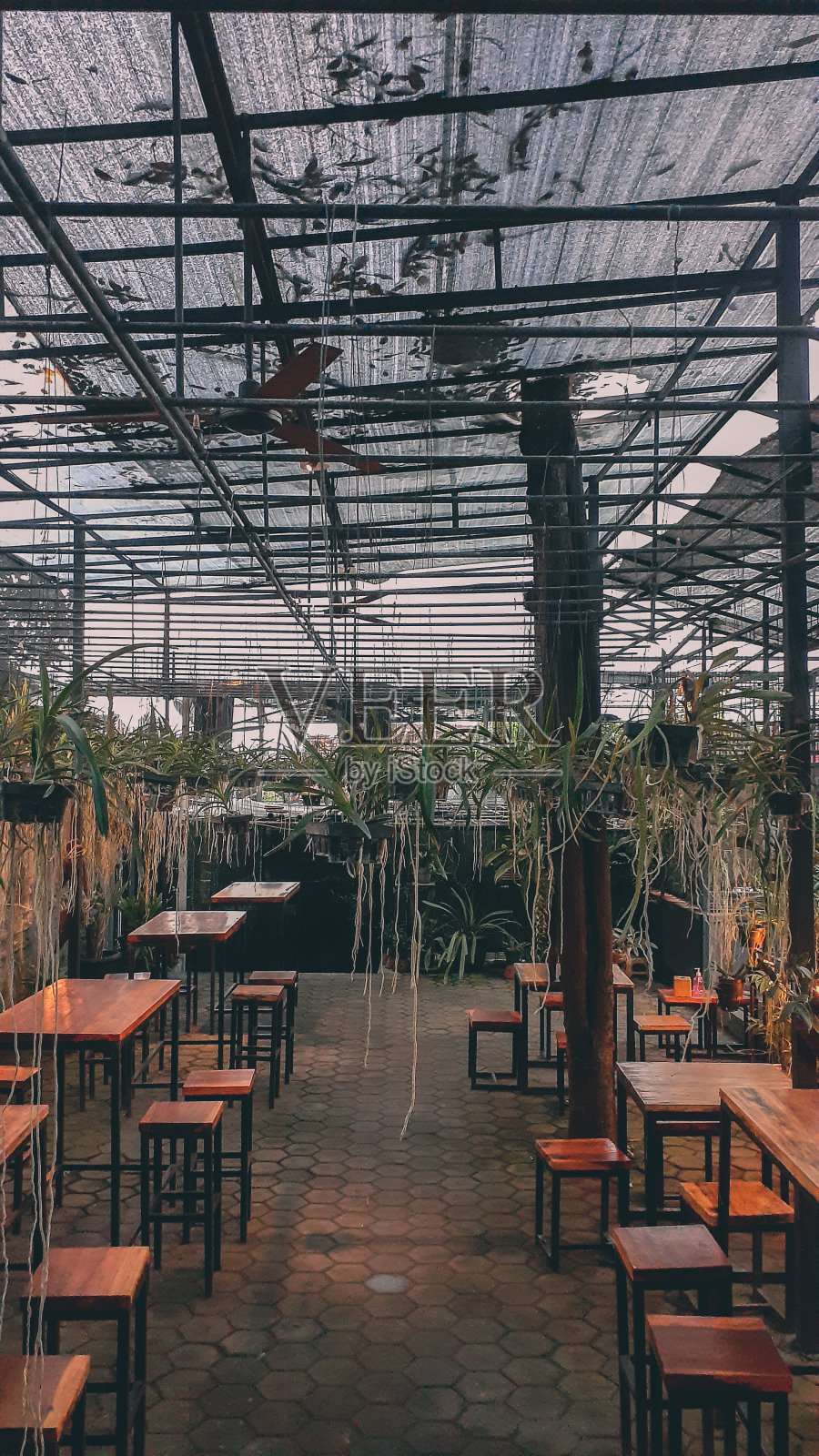 让日期照片摄影图片