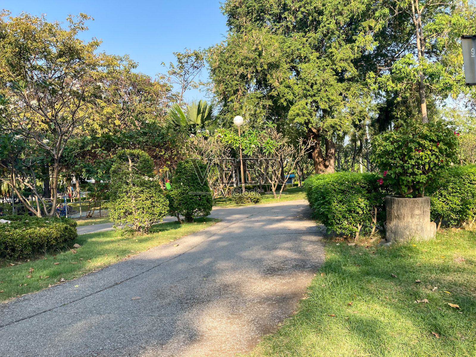 早上在村子里的公园里照片摄影图片