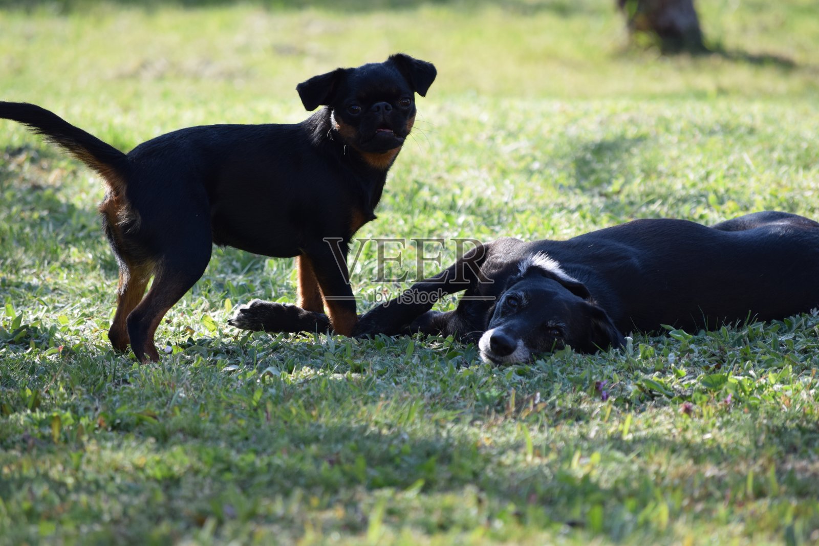 朋友照片摄影图片