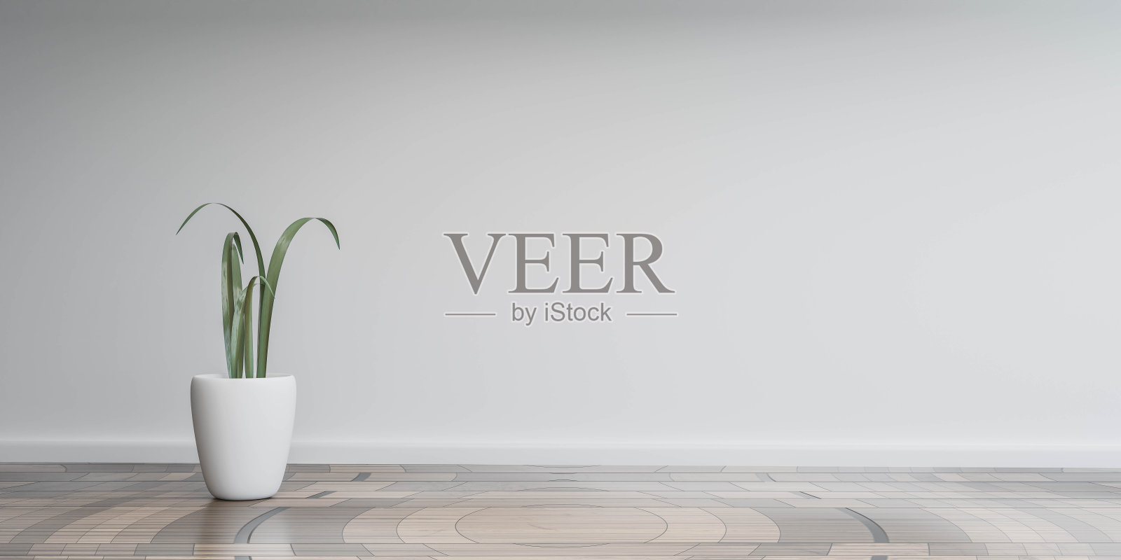 美丽的光客厅墙与植物和木地板3d渲染插图照片摄影图片