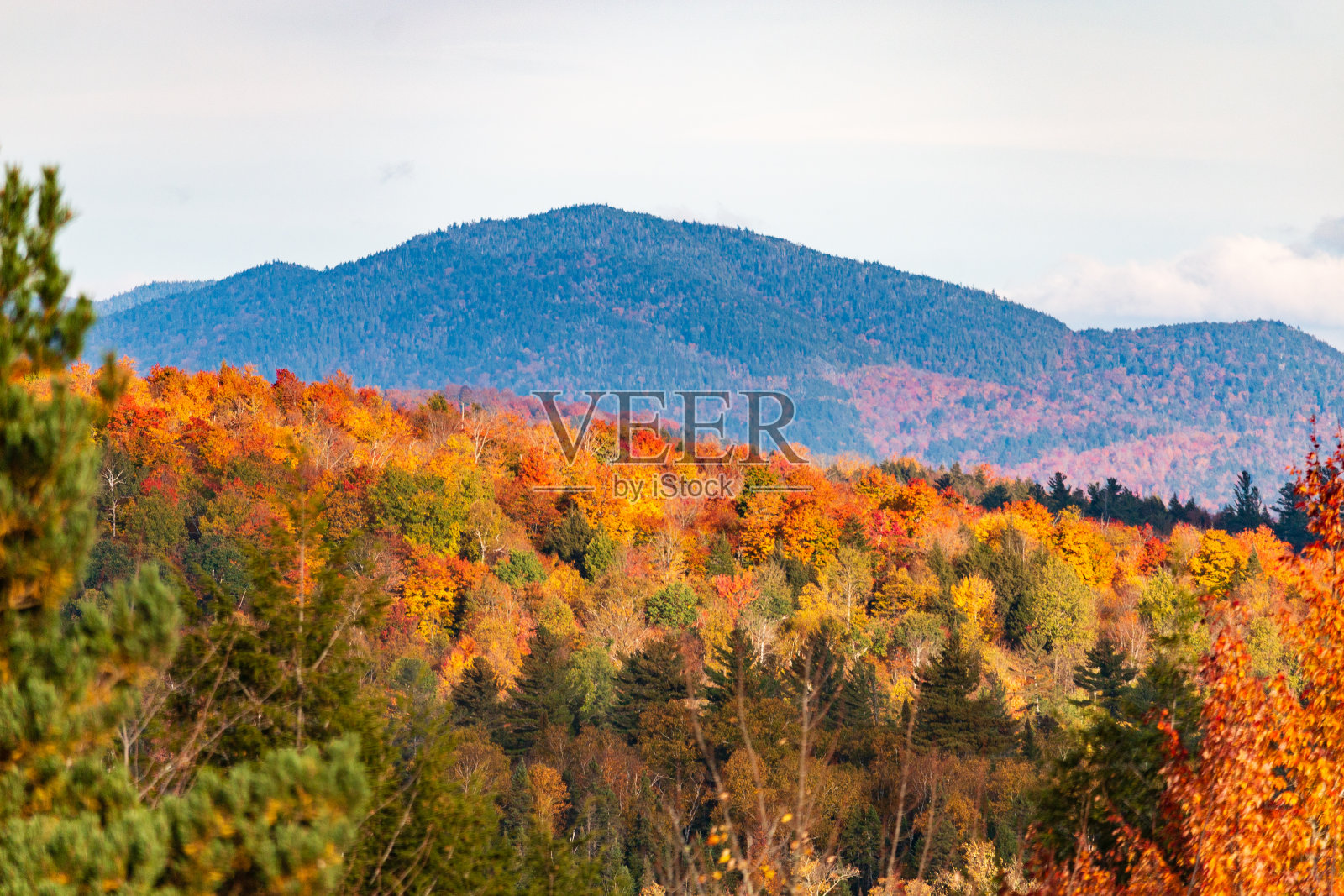 枫树,户外,休闲,阿迪朗达克公园,秋叶,山照片摄影图片