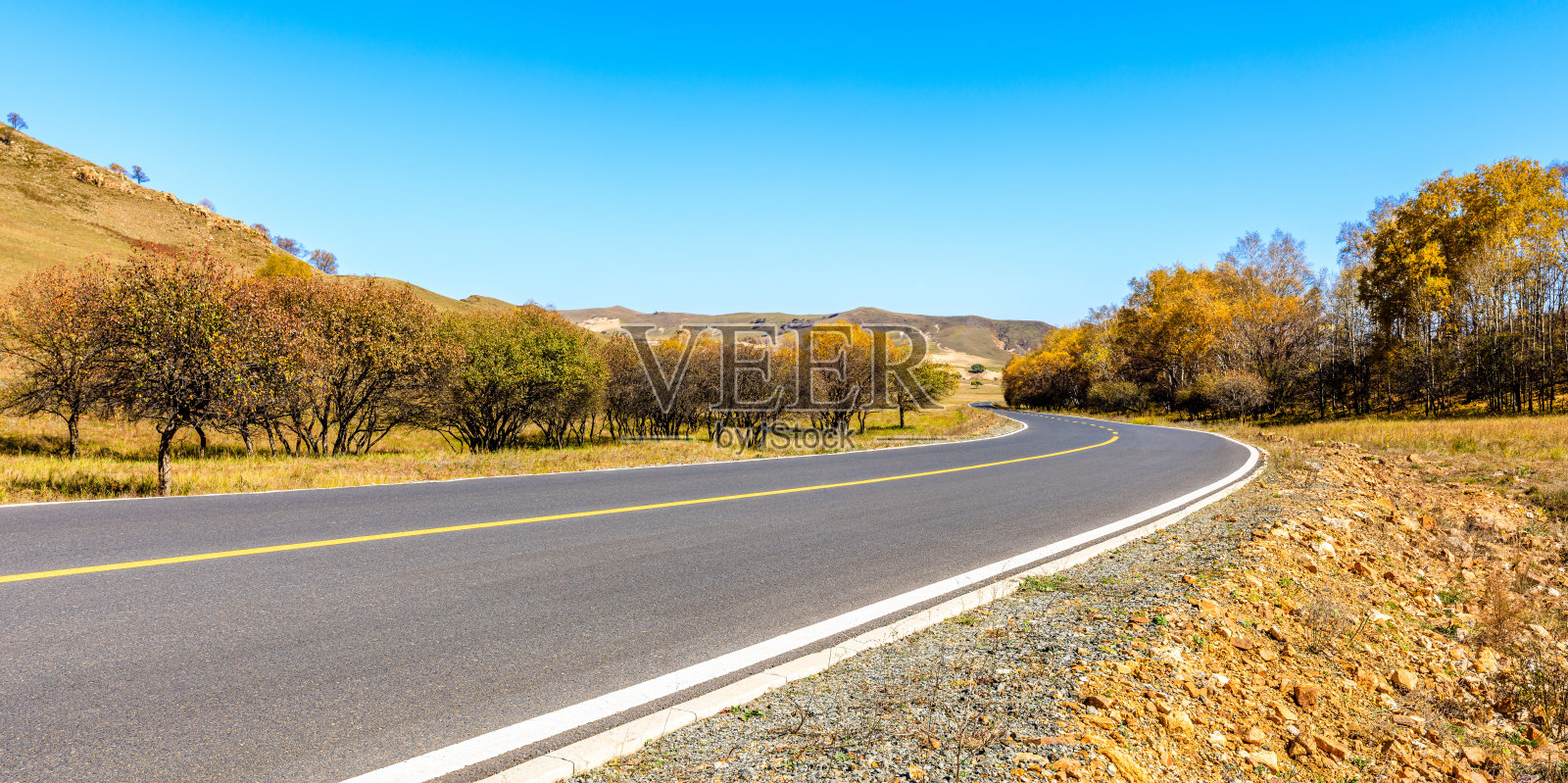 柏油路和秋林景观照片摄影图片