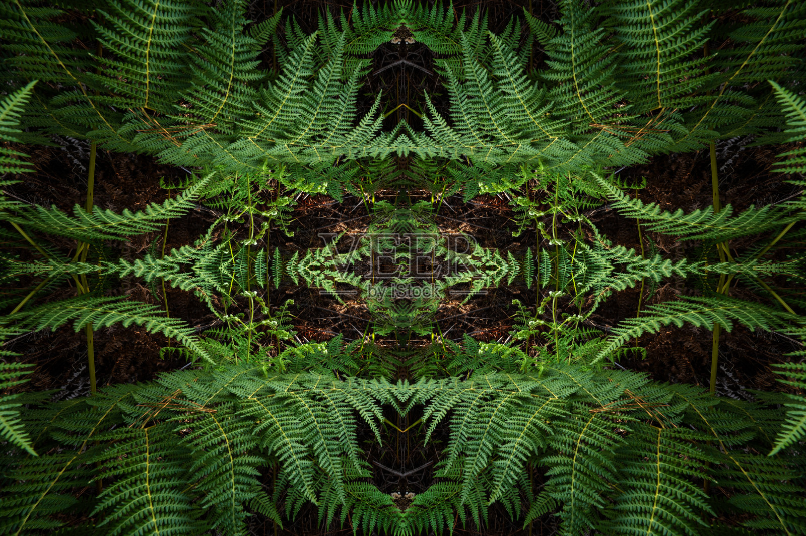 抽象的镜像照片摄影图片