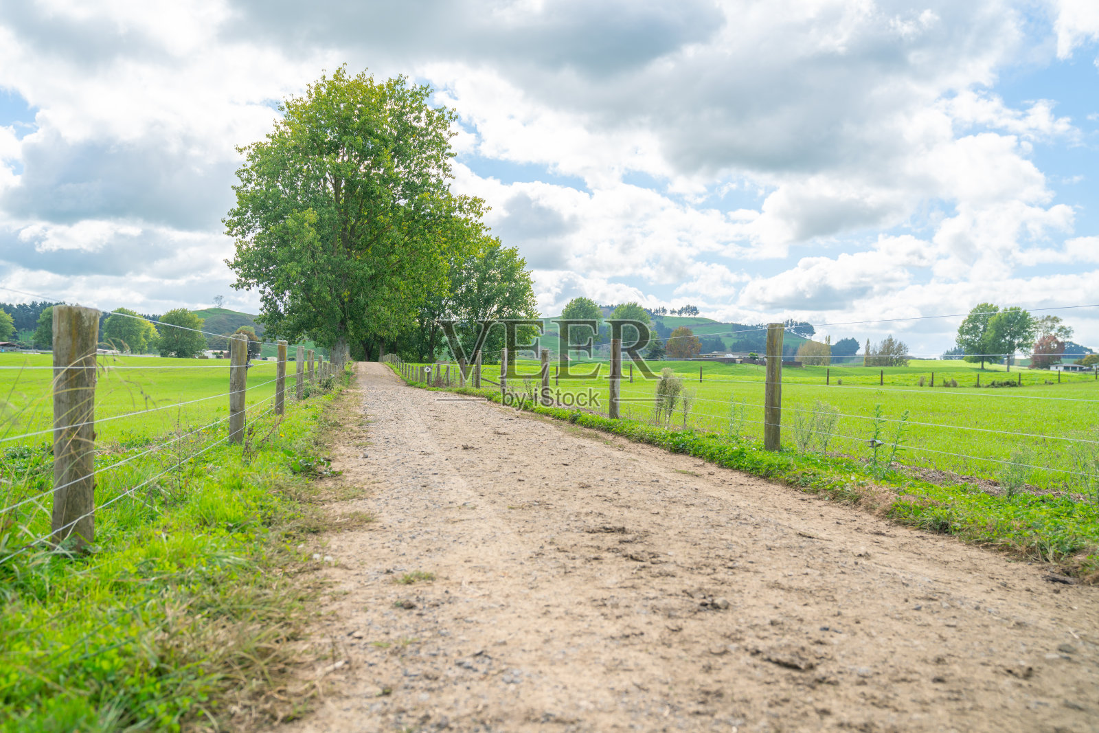土质的乡村道路两旁是柱子和铁丝栅栏,旁边是农田的绿草照片摄影图片
